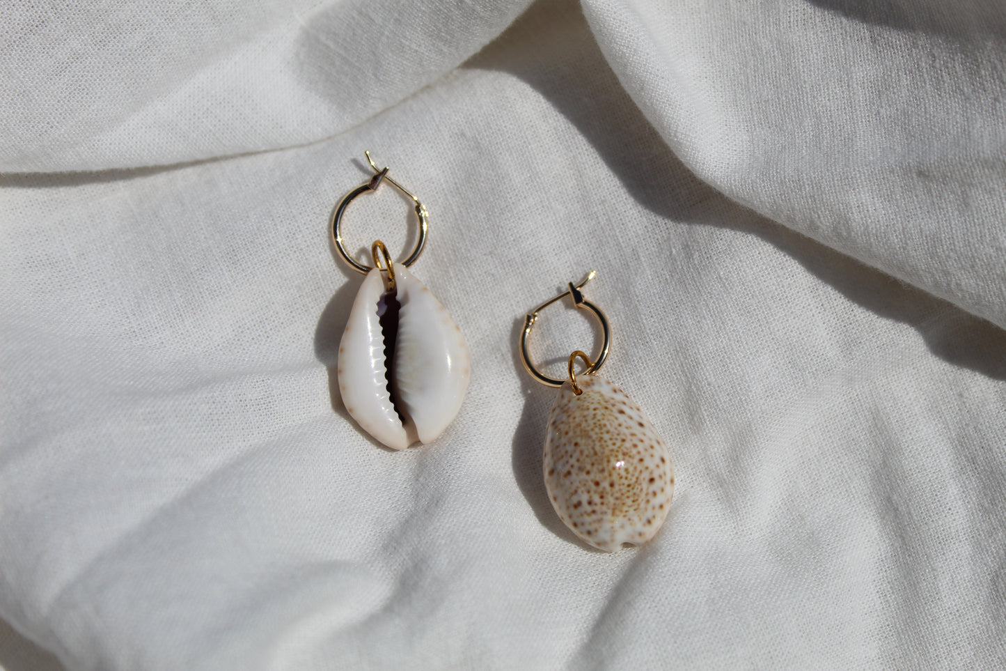 Earrings "Lynx Cowrie"