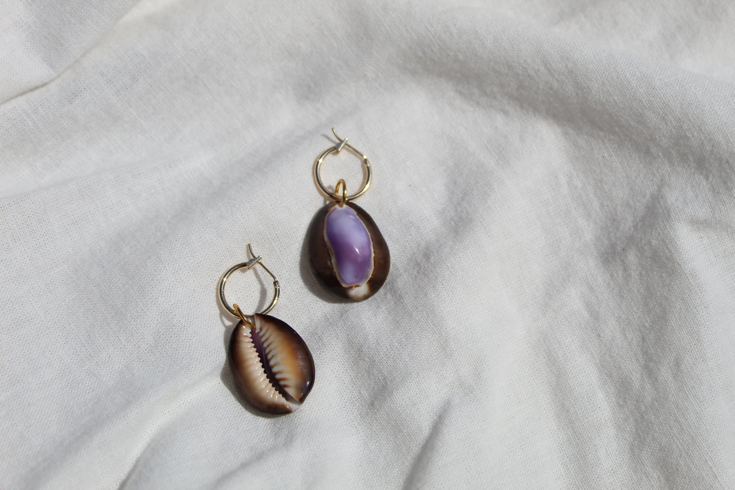 Earrings "Purple Top Cowrie"