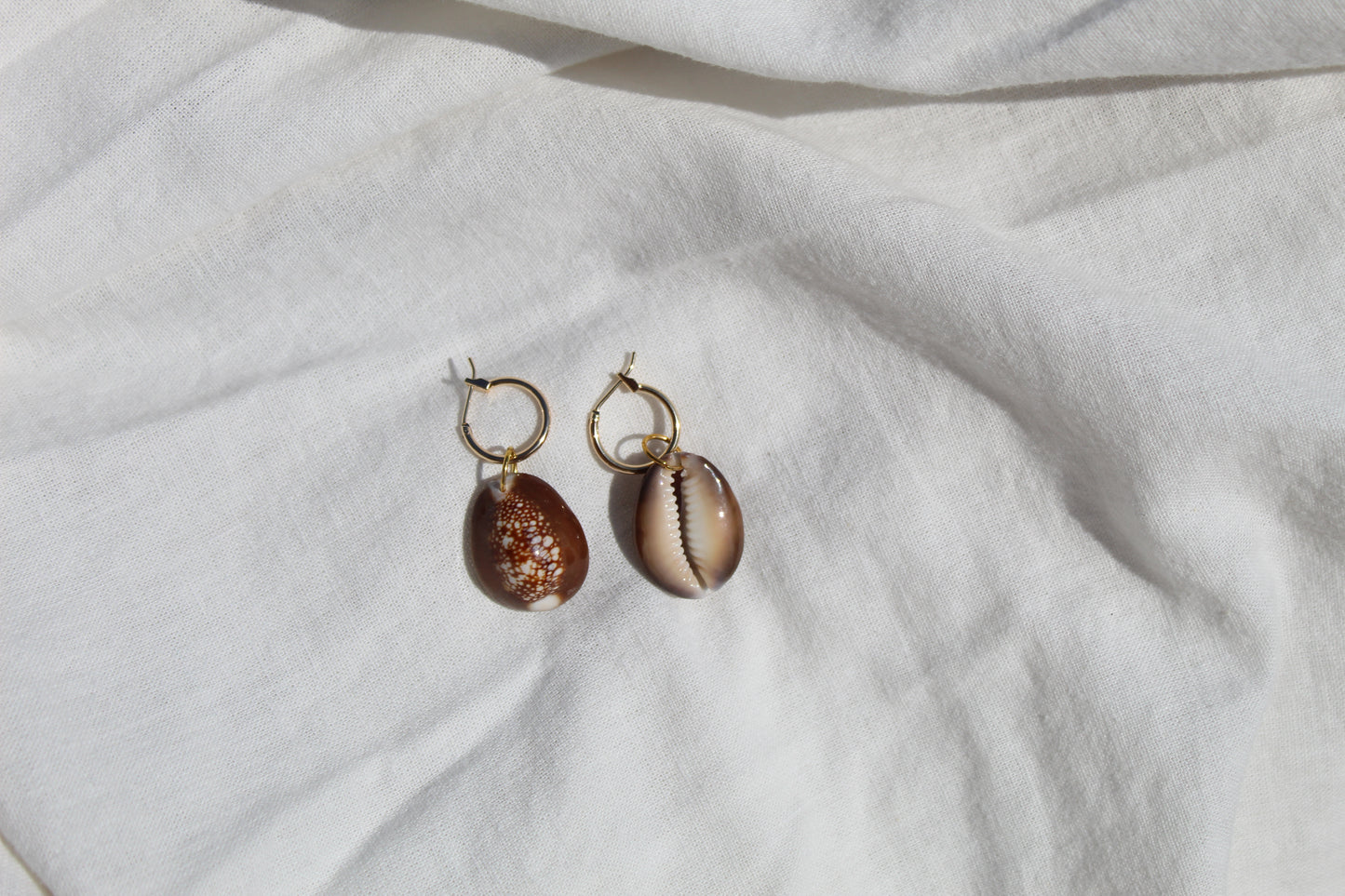 Earrings "Snakehead Cowrie"