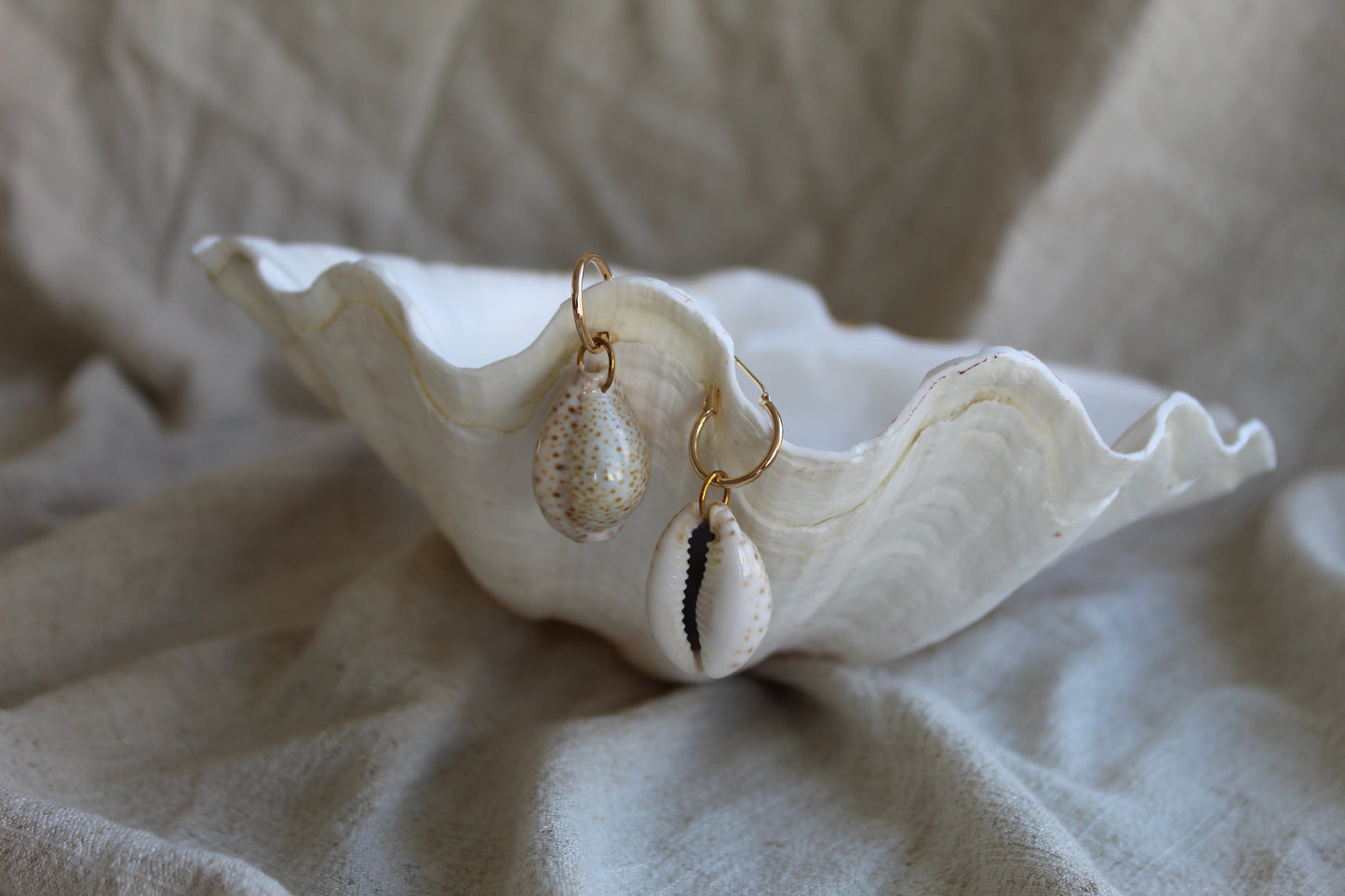 Earrings "Lynx Cowrie"