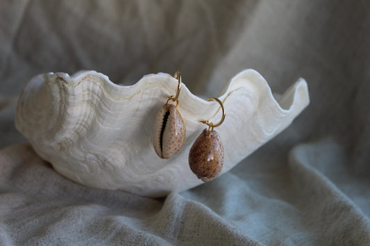 Earrings "Deer Cowrie"