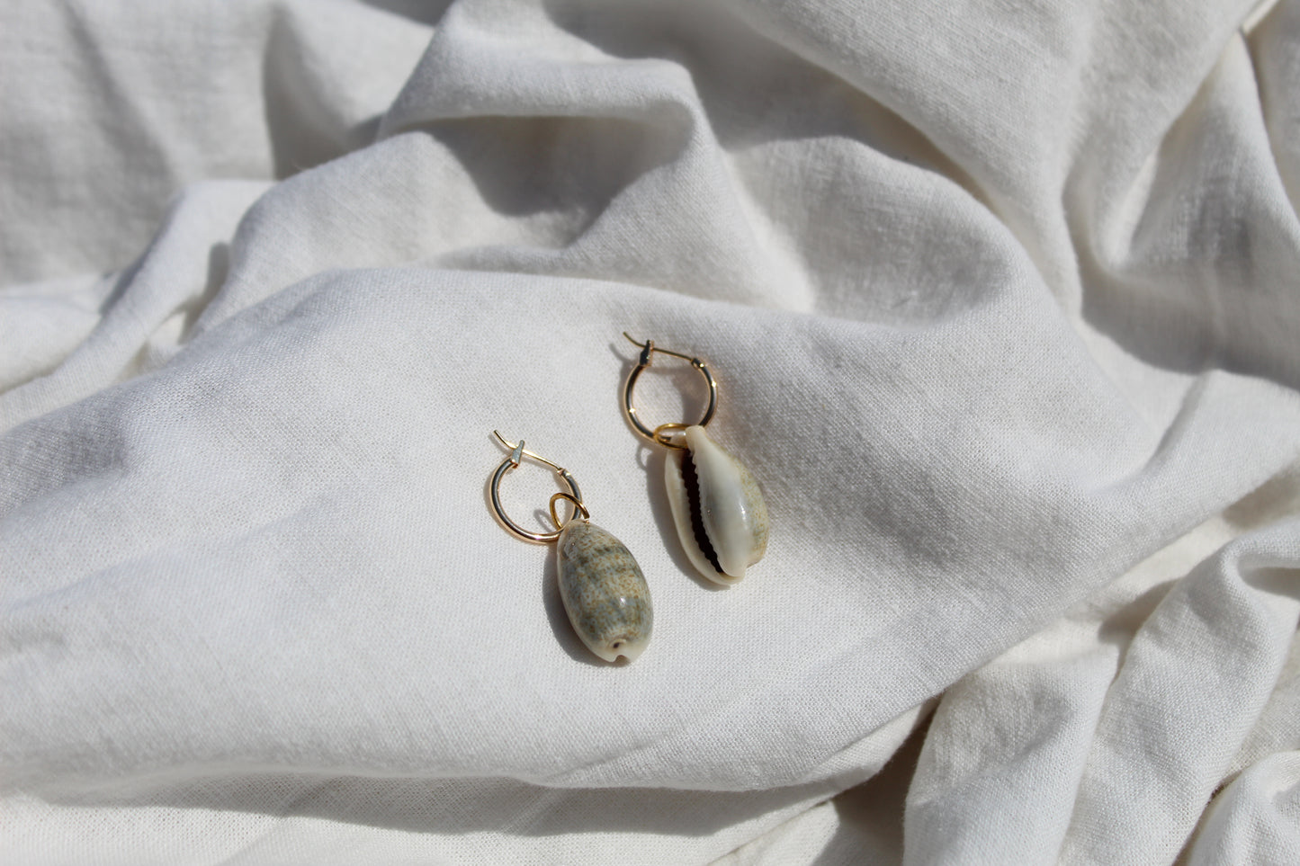 Earrings "Money Cowrie"