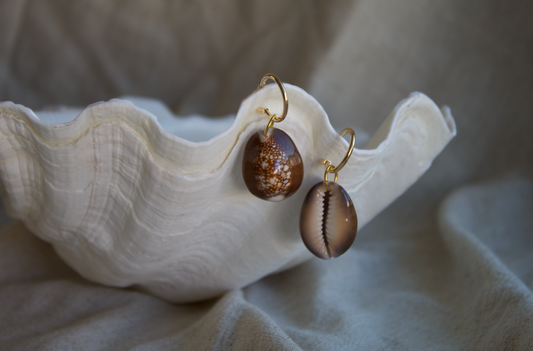 Earrings "Snakehead Cowrie"