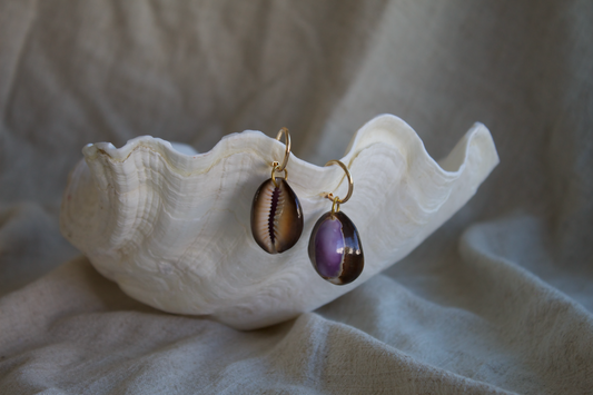 Earrings "Purple Top Cowrie"